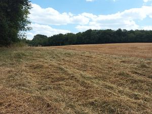 Vente terrain 3340 m² à Douchapt (24350)  25 000 €