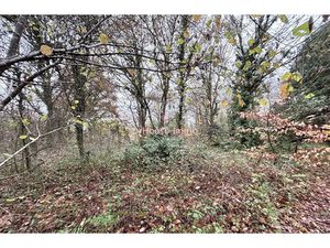 Vente terrain 2274 m² à Olivet (45160)  9 500 €