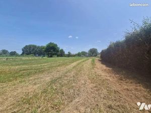 Vente terrain 1300 m² à Vasselay (18110)  29 000 €