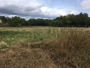 Vente terrain 1200 m² à Vignoux-sur-Barangeon (18500)  21 000 €