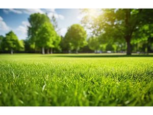 Vente terrain 430 m² à Saint-Hilaire-la-Forêt (85440)  71 500 €