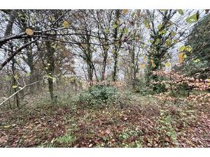 Terrain boisé en zone naturelle de 2274 m2
