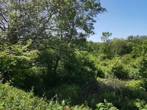 Vente terrain 2279 m² à Ableiges (95450)  130 000 €