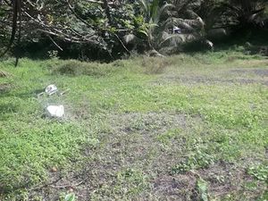 Vente terrain 3292 m² à Ducos (97224)  150 000 €