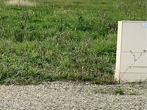 Vente terrain 373 m² à La Plaine-sur-Mer (44770)  125 000 €