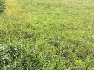 Vente terrain 850 m² à Saint-Denis-lès-Bourg (01000)  159 000 €