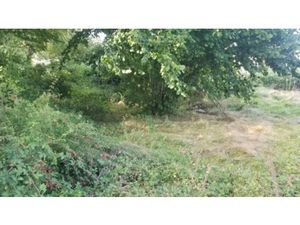 Vente terrain 770 m² à Saint-Germain-du-Puch (33750)  149 000 €