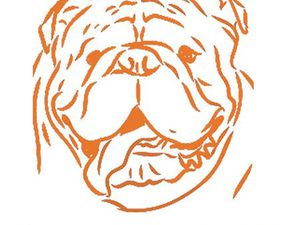 Nieuwbouwappartement met centrumligging