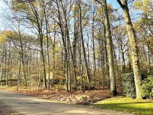 Exclusief perceel bouwgrond te Hoog-Linden