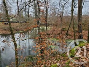 Terrain à vendre - 2008 m2 - Maraye En Othe - 10 - CHAMPAGNE-ARDENNE