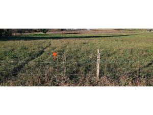 Vente terrain 1500 m² Peujard (33240)