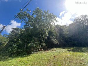 Terrain 3450 m² Gosier