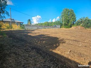 Terrain plat: possibilité d'investissement