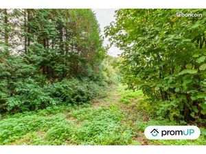 Terrain 1 600 m² Drubec