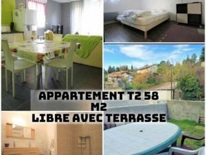 Joli T2 de 58m2 meublé avec terrasse et jardin
