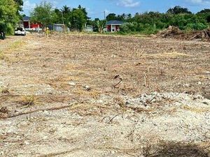 Ventre terrain guadeloupe