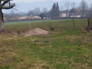 Terrain de loisir 5000 m2