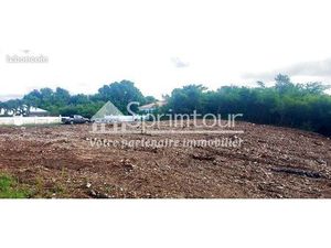 Terrain 1 087 m² Moule