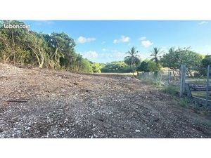 Terrain à bâtir 2000m² Le Moule