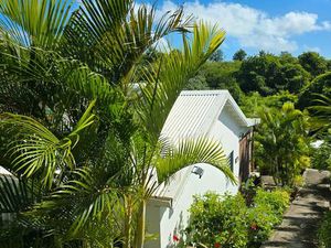 Ensemble 5 Gîtes avec Piscine  jardin tropical  récents