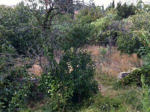 Terrain constuctible