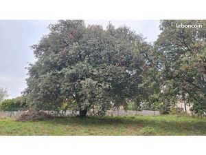 Terrain à bâtir viabilisé