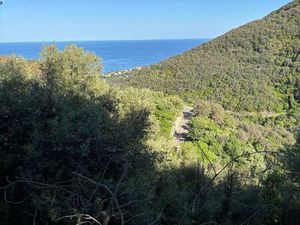Vds terrain san martino di lota