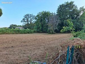 Terrain 1300 m² SANTA LUCIA DI MORIANI