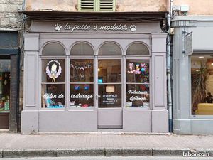 Salon de toilettage + boutique