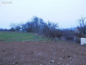 Terrain 15 Ares borné et viabilisé
