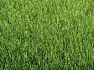 Terrain centre saint andre de cubzac