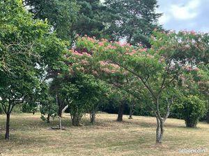 Terrain constructible