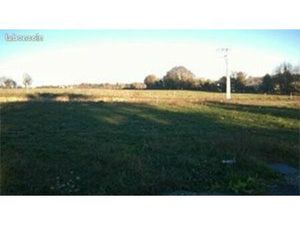 Terrain constructible proche de Murs-Erigné