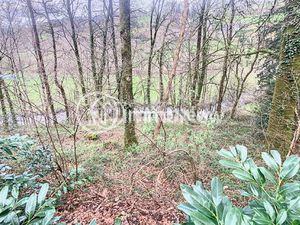 BELLE PARCELLE DE BOIS 3900 M2 BORDEE D UN RUISSEAU