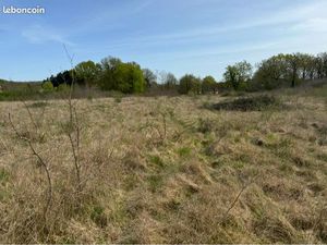 Grand Terrain en partie constructible