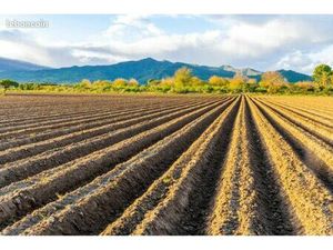 Parcelle de terre maraîchère 0 92Ha
