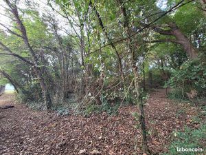 Terrain 2056 m² Angoulême