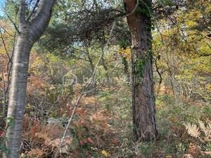 Terrain 10 850 m² Rabouillet