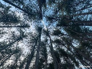 Terrain de loisirs 3ha