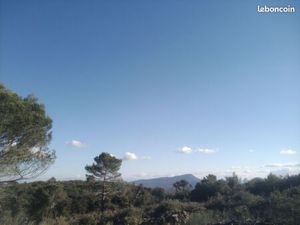 Terrain de loisirs boisé