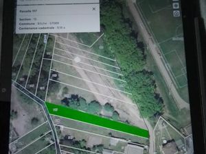 Av terrain (jardin )