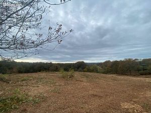 Terrain 6000m2 Constructible Viabilisé