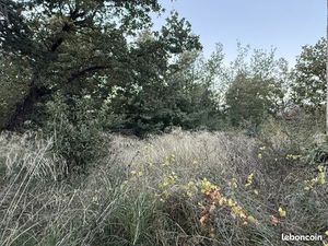 Canohes hors lotissement terrain constructible