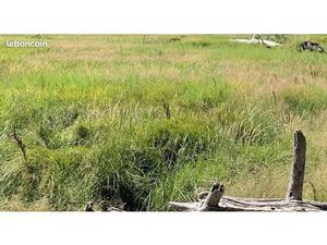 Terrain 400 m² Hourtin