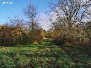 Terrain constructible