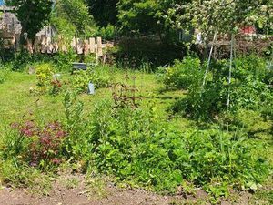 Terrain constructible