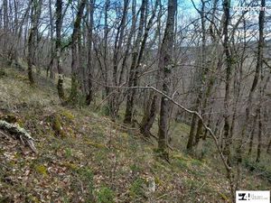 Terrain 7288 m² ST MICHEL