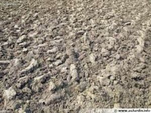 Terrain agricole ou de loisirs sur 10000 m²