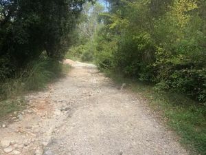 Terrain 41 010 m² Cuers