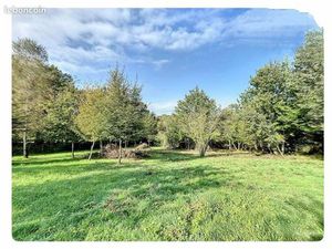 Terrain constructible